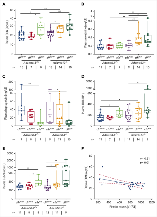 Plasma BUN, creatinine, haptoglobin, and LDH in mice with various genotypes. Box-whisker and dot plots show the median, interquartile, minimum to maximum, and each individual value of plasma BUN (A), creatinine (B), haptoglobin (C), and LDH (D), as well as sC5b-9 (E) in mice at the age of 2 to 3 months with various genotypes. The Mann-Whitney U test was performed to compare the difference in each biomarker between the wt or Adamts13−/− and each of the other experimental groups. (E) A negative correlation was detected between BUN and sC5b-9 in plasma of Adamts13−/−cfhW/R and Adamts13−/−cfhR/R mice. *P < .05, **P < .01, and ***P < .001, respectively. The number of mice (n =) from each genotype tested is shown under each graph. (F) Pearson correlation coefficient (r = −0.51, P = .01) between platelet counts and plasma BUN levels was determined using Prism 7 software.