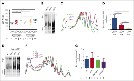 Plasma VWF antigen and multimer distribution in mice with various genotypes. (A) Plasma levels of VWF antigen in mice with various genotypes. Dots and horizontal lines represent the individual, the mean values, and ± SD. The Mann-Whitney U test was performed to compare the difference of VWF antigen between the wt or Adamts13−/− mice with each of the other experimental groups. Representative images of (B,E) VWF multimers, (C,F) densitometric scanning, and (D,G) the ratios of high to low molecular VWF forms, respectively, in mice with various genotypes. The data in panels D and G are the mean ± SD. Mann-Whitney U analysis was performed to determine the statistical significance among various groups. *P < .05, **P < .01, and ***P < .005, respectively.