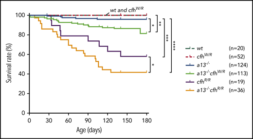Kaplan-Meier survival analysis of mice with various genotypes. The mortality rate (percentage) was determined for 6 months in mice with various genotypes. The log-rank (Mantel-Cox) test was used to compare the difference in the mortality rate between the control group (wt or cfhW/R) and each of other genotypes. *P < .05, **P < .01, ***P < .005, and ****P < .0001, respectively. a13−/−, Adamts13−/−; cfhW/R and cfhR/R are the heterozygous and homozygous mutations, respectively.