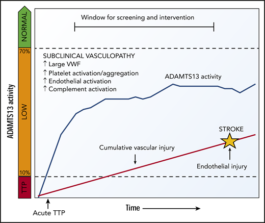 Proposed model for low ADAMTS13 activity causing vascular complications. After recovery from acute TTP, ADAMTS13 activity that increases but not does not reach normal levels may cause VWF-mediated platelet and vascular activation and cumulative vascular injury that leads to premature arterial thrombotic events such as stroke.