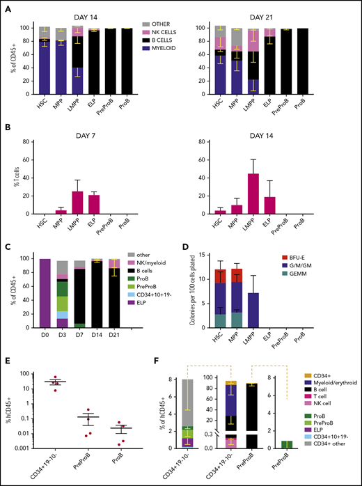 Fetal BM PreProB-progenitors and ProB-progenitors are committed to the B-lymphoid lineage. (A) Cell frequency at day 14 and day 21 after coculturing flow-sorted fetal BM HSPCs on murine MS-5 stromal cells with cytokines (FLT3L, SCF, IL-7, and IL-2). Data shown as percentage of human CD45+ cells (mean - SEM, n = 3-5). (B) Frequency of T cells (CD4+ and/or CD8+) produced by day 7 and day 14 after coculturing flow-sorted fetal BM HSPCs on OP9-DL1 (GFP+) stroma with cytokines (FLT3L and IL-7). Data shown as percentage of GFP– human cells (mean + SEM, n = 4). (C) B-cell differentiation assay of flow-sorted ELPs cocultured on MS-5 stromal cells with cytokines (FLT3L, SCF, IL-7, and IL-2) showing output on days 3, 7, and 14 (results expressed as mean − SEM, n = 2-4). (D) Myeloid clonogenic assays showing day 14 colony readout from flow-sorted fetal BM HSPCs in methylcellulose colony assays (data shown as mean + SEM, n = 4). (E) Engraftment of fetal BM Lin2–CD34+CD19–CD10– progenitors, PreProB-progenitors, and ProB-progenitors in the BM of NSG mice 2 to 3 weeks after transplantation (n = 4 for each progenitor population; total n = 12). Data shown as a percentage of human CD45 (hCD45) cells of all CD45+ cells in mouse BM (mean ± SEM). (F) Identity of hCD45+ cells engrafted in mouse BM 2 to 3 weeks posttransplant. The plot in the center shows the breakdown of all human CD45+ cells, and the plots on either side of the central plot detail the progenitors identified in hCD45+CD34+ cells.