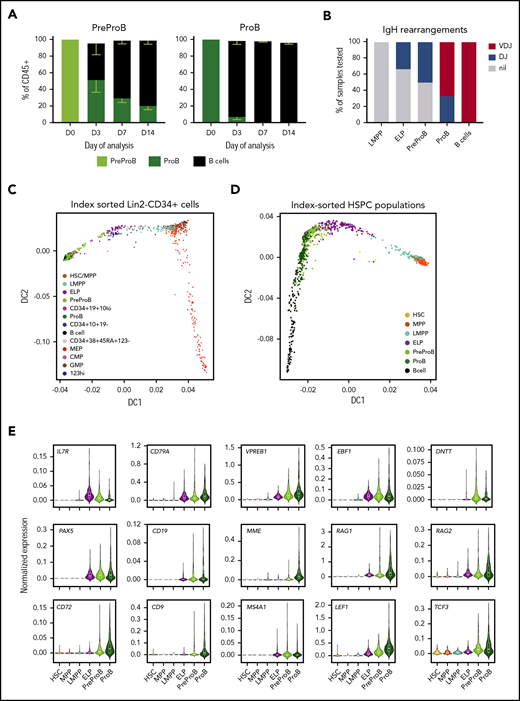 Fetal BM CD10– PreProB-progenitors lie upstream of CD10+ ProB-progenitors in the fetal B-cell developmental hierarchy. (A) B-cell differentiation assay of flow-sorted PreProB-progenitors and ProB-progenitors cocultured on fetal BM MSCs with cytokines (FLT3L, SCF, IL-7, and IL-2) showing proportions of progenitors and mature B-cells produced by days 3, 7, and 14 (results expressed as mean - SEM, n = 3). (B) Pattern of IgH gene rearrangement detected in whole-genome amplified DNA from flow-sorted fetal BM HSPCs expressed as percentage of samples tested (n = 3-7 for each sub-population). (C) Diffusion map of single-cell qRT-PCR (total of 938 cells from 2 biological samples) of index-sorted Lin2−CD34+ or Lin2−CD34–CD19+ fetal BM cells showing B-lymphoid and myeloid/erythroid differentiation trajectories. Genes and TaqMan probes detailed in supplemental Table 1. (D) Diffusion map of single-cell qRT-PCR (total of 1400 cells from 3 biological samples) of flow-sorted fetal BM HSPCs and B cells showing differentiation trajectory from HSCs through to B cells. Genes and TaqMan probes are detailed in supplemental Table 2. (E) Normalized gene expression of selected B cell–associated genes in flow-sorted fetal BM HSPCs by single-cell qRT-PCR (total of 1400 cells from 3 biological samples) .