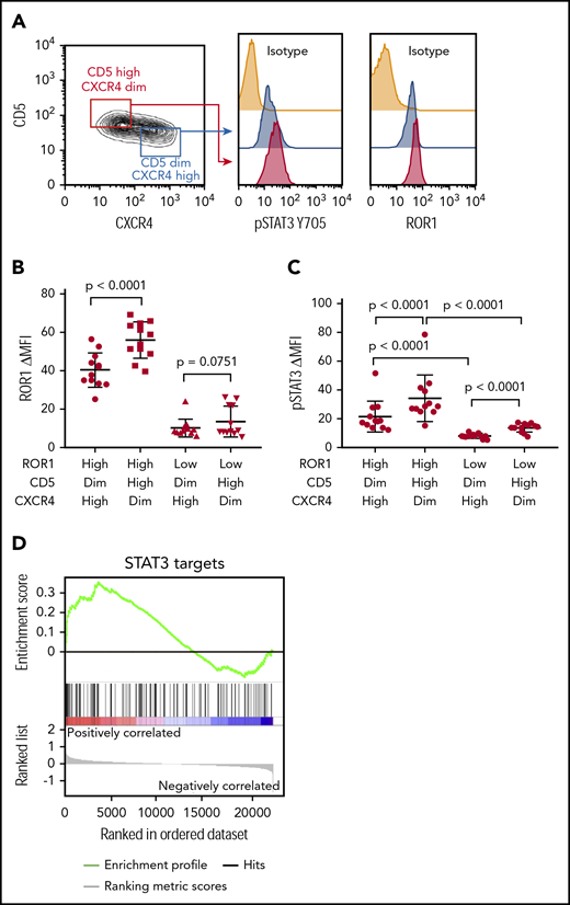 CD5high CXCR4dim CLL cells express higher levels of ROR1 and phosphorylated STAT3 than CD5dim CXCR4high counterparts. (A) Flow cytometry analysis of pSTAT3 (Y705) and ROR1 in CD5high CXCR4dim and CD5dim CXCR4high CLL cells. (B) Dot figures representing ROR1 intensity in CD5high CXCR4dim and CD5dim CXCR4high CLL cells from ROR1high (n = 12) and ROR1low (n = 12) patients. Error bars denote standard deviation. (C) Bar figures representing pSTAT3 ΔMFI in CD5high CXCR4dim and CD5dim CXCR4high CLL cells from ROR1high (n = 12) and ROR1low (n = 12) patients. Error bars denote standard deviation. (D) GSEA plot of STAT3 target genes in lymph nodes vs peripheral blood CLL cells collected from 17 patients. The gene set size was 97, the normalized enrichment score (NES) was 1.30, and the false discoveray rate (FDR) q value was 0.08.