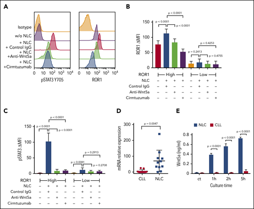 NLC Express Wnt5a, which can induce ROR1-dependent CLL cell activation of STAT3 and upregulation of ROR1. (A) Flow cytometry analysis of pSTAT3 (Y705) and ROR1 in CLL cells cocultured with or without NLC for 16 hours with control IgG or anti-Wnt5a or cirmtuzumab. (B) Bar figures represent the intensity of ROR1 staining of CLL cells from ROR1high (n = 6) and ROR1low (n = 6) patients cocultured with or without NLC for 16 hours in the presence of control IgG, anti-Wnt5a, or cirmtuzumab. Error bars denote standard deviation. (C) Bar figures represent the levels of pSTAT3 ΔMFI in CLL cells from ROR1high (n = 6) and ROR1low (n = 6) patients cocultured with or without NLC for 16 hours in the presence of control IgG, anti-Wnt5a, or cirmtuzumab. Error bars denote standard deviation. (D) Quantitative real-time PCR analysis and comparison of WNT5A transcript levels in NLC vs CLL cells of the same patient (n = 11). Error bars denote standard deviation. (E) ELISA of Wnt5a in the medium of cell cultures containing 1 × 104/mL NLC and 1 × 104/mL CLL cells for 0, 1, 2, and 5 hours. Error bars denote standard deviation (n = 3).