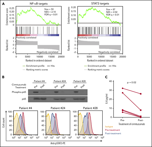 Cirmtuzumab inhibits expression of NF-κB and STAT3 target genes in the CLL cells of patients treated with cirmtuzumab in phase I clinical trial. (A) GSEA plots of NF-κB and STAT3 target genes on pretreatment vs paired postcirmtuzumab CLL cells at D28 of therapy (n = 3). Gene set size (Size), enrichment score, normalized ES (NES), and FDR q values are indicated. (B) Immunoblot and flow cytometry analysis of CLL cells isolated from patients before and after treatment with cirmtuzumab for phospho-p65 and phosphor-STAT3, respectively. (C) The paired concentrations of IL-6 in the plasma of patients before and after treatment with cirmtuzumab (n = 5).