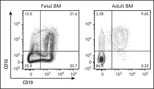 Fetal origin of human B-cell development. Pre-pro-B cells (CD19+CD10−CD34+) originate from the fetal liver and are abundant in fetal bone marrow (BM; shown here, left). In adult bone marrow, pre-pro-B cells are exceedingly rare (right) and differ from their fetal counterparts functionally and transcriptionally. See Figure 2A in the article by O’Byrne et al that begins on page 1059.