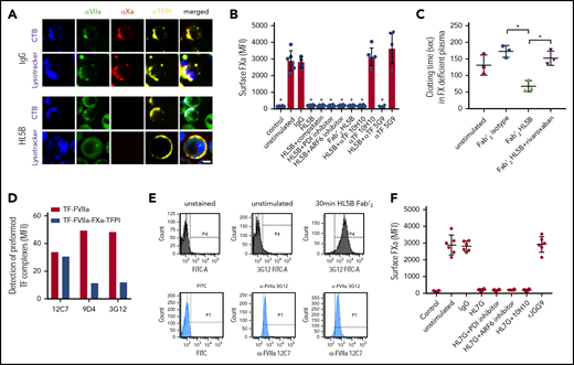 Prothrombotic aPLs dissociate an inhibited cell surface TF-FVIIa-FXa-TFPI complex. (A) Human monocytic MM1 cells were cultured in human serum, stained with αFVII-12C7 with a known epitope in the FVII protease domain,46 αFX-f21-4.2C, and αTFPI-HG5 (both identified by screening for reactivity with a preassembled TF-FVIIa-FXa-TFPI complex on CHO-cells), and imaged on live cells after 15 minutes of exposure to control IgG or aPL HL5B. Nuclei were stained in blue with Hoechst 33342 or DAPI, surface membrane with cholera toxin B (CTB), and endo-lysosomes with Lysotracker or αEEA1 (red). Scale bar = 5 µm. (B) Loss of FXa surface staining on mouse CD115+ splenocytes grown in human serum by flow cytometry after 10 minutes of stimulation; mean ± standard deviation (SD). n = 6. *P < .0062; 1-way ANOVA, Dunnett multiple-comparison test vs unstimulated. (C) FXa clotting activity in the supernatant of aPL-stimulated monocytes; mean ± SD. n = 3. *P < .005; 1-way ANOVA, Dunnett multiple-comparison test. (D) Detection of TF-FVIIa vs TF-FVIIa-Xa-TFPI on TF-expressing CHO-cells by αVIIa-3G1247 and 9D4 vs 12C7. (E) Coagulation inhibitory αVIIa-3G12 vs αFVII-12C7 reactivity on monocytic cells before and after stimulation with aPL HL5B Fab’2, which does not cause TF-FVIIa internalization. (F) β2GPI- and lipid-reactive HL7G, but not rJGG9, with sole β2GPI reactivity can induce FXa release from mouse CD115+ splenocytes; mean ± SD. n = 6.