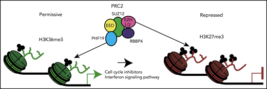 Model of PHF19 regulation of transcriptional silencing in myeloma. Potentially through its recognition of H3K36me3 in active genes (green), PHF19 recruits PRC2 to methylate H3K27, resulting in gene silencing.