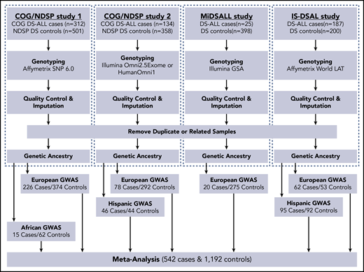 Flowchart of study design and analytic approach. GSA, Global Screening Array; MiDSALL, Michigan-based DS-ALL study.