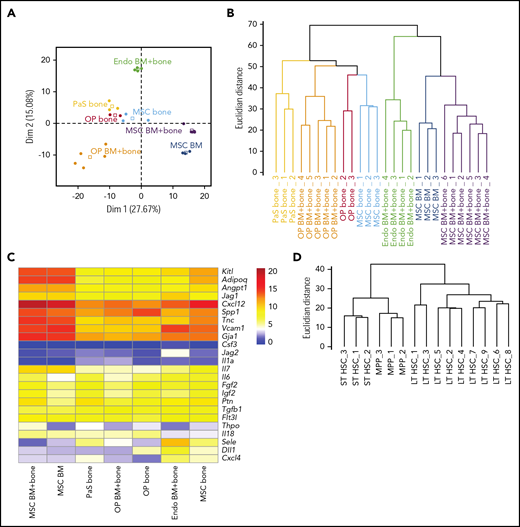 RNA seq data reveals distinct expression of HSPC regulators by different niche cell populations. (A) PCA based on gene expression of the 579 ligands from the receptor-ligand database by niche cells. Dots, individual samples; open squares, barycenters of the different samples for a given cell population. (B) Hierarchical clustering of niche cell samples based on ligand expression. (C) Heatmap shows mean rlog transformed expression values of known HSPC regulators (ligands) in distinct niche cells. (D) Hierarchical clustering of HSPCs based on gene expression of the 555 receptors from the receptor-ligand database.