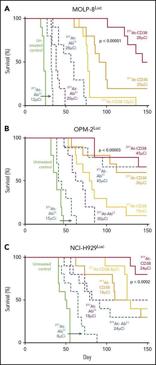 Kaplan-Meier survival curves for disseminated models. Mice bearing disseminated MM xenografts were treated on day 0 with 211At-CD38 or 211At-Ab−; n = 9 to 10 mice per group. Disease progression was monitored via weekly BLI and thrice weekly observations of mouse weight, condition, and mobility. Mice were euthanized when they experienced hind-limb paralysis or met IACUC weight loss or condition requirements. Statistics report Kaplan-Meier proportional hazards tests. (A) MOLP-8Luc model, treated at 12, 20, and 28 µCi. Across treatment levels, 211At-CD38 therapy strongly benefitted survival relative to untreated controls (P < .00001) and to 211At-Ab− groups (P < .00001) in a dose-dependent manner (P < .00001). (B) OPM-2Luc model, treated at 15, 30, and 45 µCi. 211At-CD38 therapy strongly improved survival across groups, relative to untreated controls (P < .00001) and to 211At-Ab− treatments (P = .00002) in a dose-dependent manner (P < .00001). Additional statistics in “Results.” (C) NCI-H929Luc model, treated at 8, 18, or 24 µCi. Mice treated with 211At-CD38 survived significantly longer than untreated control (P < .0001) and 211At-Ab− treated mice (P < .0006). Treatment benefits were dose-dependent with higher 211At dosing improving survival (P < .002).