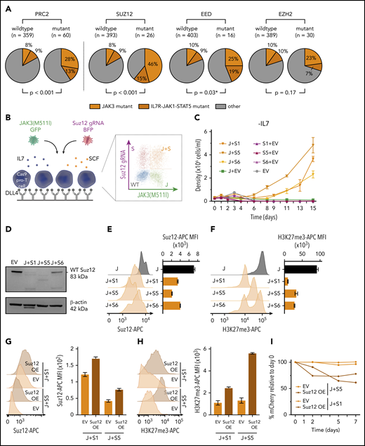 PRC2 mutations co-occur with JAK3 mutations and Suz12 loss cooperates with JAK3(M511I) in vitro. (A) Pie charts comparing the frequency of JAK3 mutations (orange) and IL7R-JAK1-STAT5 mutations (brown) within patients with PRC2 mutant T-ALL vs patients with PRC2 wild-type. Similar pie charts for JAK/STAT mutation frequencies for patients with T-ALL carrying mutations in the 3 different PRC2 components SUZ12, EED, and EZH are shown aside. Using Pearson’s χ-squared test (*) or the Fisher’s exact test, P values were calculated for testing significance of positive association between JAK3 mutations and mutations in PRC2, SUZ12, EZH2, or EED. T-ALL patient data (n = 419). (B) Scheme of ex vivo pro-T-cell culture requiring interleukin 7 (IL7), stem cell factor (SCF), and immobilized Δ-like ligand 4 (DLL4). (C) Cell densities (mean with standard deviation) over time for different IL7-deprived pro-T-cell conditions: JAK3(M511I)+Suz12gRNA TS1, TS5, and TS6 (J+S1, J+S5, J+S6); Suz12 gRNA TS1, TS5, and TS6, always in combination with green fluorescent protein (GFP) empty vector (S1+EV, S5+EV, S6+EV) controls; JAK3(M511I) in combination with blue fluorescent protein (BFP) empty vector (J+EV); and BFP empty+GFP empty vector (EV) controls. (D) Western blot on EV pro-T cells and IL7-independent JAK3(M511I)+Suz12gRNA pro-T cells (J+S1, J+S5, J+S6). β-actin was used as loading control. (E-F) Suz12 protein (E) and H3K27me3 (F) levels were measured by intracellular flow cytometry in IL7-independent JAK3(M511I)+Suz12gRNA pro-T-cells (J+S1, J+S5, J+S6) and JAK3(M511I) (J) pro-T-cells. MFIs were calculated for APC emission. (G-H) Suz12 protein (G) and H3K27me3 (H) levels were measured by intracellular flow cytometry. MFIs were calculated for APC emission. (I) Percentage mCherry relative to d0 was measured over time in IL7-independent J+S1 and J+S5 pro-T-cells that were transduced with mCherry EV or mCherry Suz12 cDNA overexpression (Suz12 OE).