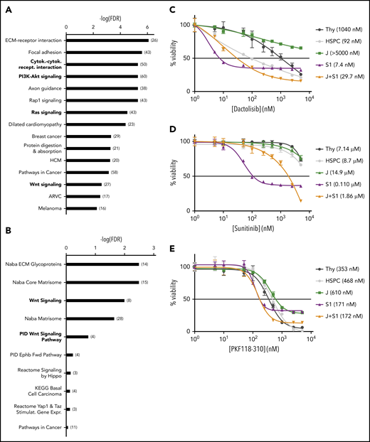 Suz12 inactivation causes activation of the PI3K/mTOR, VEGF/VEGFR and WNT signaling pathways. (A) Results of overrepresentation enrichment analysis of the KEGG canonical pathways in the set of upregulated genes in JAK3(M511I)+Suz12gRNA leukemias (J+S1 vs J), ranked according to lowest false discovery rate (FDR). The number of genes within a pathway is indicated in brackets. (B) Similar analysis as in A, but now with the canonical pathways. (C-E) Drug dose response curves showing viability of (leukemia) cells in response to 24 hours of treatment with increasing concentrations of PI3K/mTOR inhibitor dactolisib (C), VEGFR inhibitor sunitinib (D), and WNT inhibitor PKF118-310 (E). HSPC, wild-type hematopoietic stem and progenitor cells; Thy, wild-type thymocytes. For all drug dose response curves, percentage viability is defined as percentage surviving cells relative to DMSO concentration. GI50 values are shown.