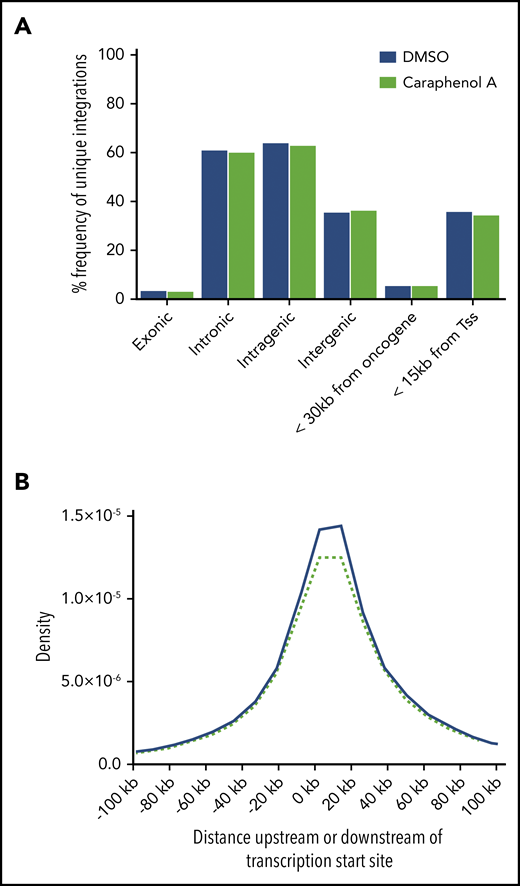 Caraphenol A treatment during CD34+ cell LV transduction does not affect patterns of LV integration observed in human cells relative to DMSO-treated controls. A composite of individual integration events obtained from bone marrow and spleen samples (n = 8 mice per treatment and 2 MOIs, 32 mice total; see Figure 2A, at the terminal end point). (A) Frequency of unique integration events occurring relative to indicated genomic features, or within 30 kb of known oncogenes as a function of caraphenol A (green bars) or DMSO treatment (blue bars). (B) Probability density function for integration to occur within 100 kb of transcription start sites (Tss) for caraphenol A-treated (green dashed line) compared with DMSO-treated (blue solid line) bone marrow and spleen cells.