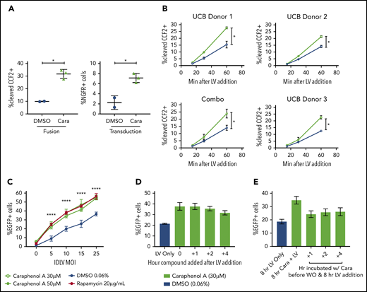 Concurrent caraphenol A treatment improves LV endosomal escape into the cytoplasm. (A) UCB-CD34+ cells (n = 3 donors) were transduced in the presence of caraphenol A (Cara, 30 μM, green symbols) or DMSO (0.06%, blue symbols) with LV, MOI 15, carrying the enzyme-Vpr protein (LV-Vpr). After a 6-hour transduction, cells were loaded with 7-hydroxycoumarin cephalosporin fluorescein–acetoxymethyl (CCF2-AM) substrate, and LV entry was quantified by flow cytometric detection of cells exhibiting cleaved CCF2. Transduction was measured by nerve growth factor receptor (NGFR) expression 7 days later. Data presented as dot plots (mean ± SD). Fusion, **P = .0039; transduction, *P = .016 by 2-tailed Student t test. (B) UCB-CD34+ cells (n = 3 donors) were LV-Vpr-transduced in the presence of DMSO or caraphenol A, as above, and then transferred to 4°C at indicated points before loading with CCF2-AM substrate at 12°C for overnight, then analyzed as earlier. Data presented as linear plots (mean ± SD). Combo plot indicates mean ± SD of 3 donors combined. Small plots (closed circles) indicate mean ± SD of technical replicates (n = 2 cultures) from each donor. Combination figure (*P = .0406, slopes of linear regression significantly different). (C) mPB-CD34+ cells (n = 2 donors) were pretreated with either caraphenol A (30 µM, green open circles; 50 µM, green closed symbols), rapamycin (20 µg/mL red closed symbols), or 0.06% DMSO (blue closed symbols) for 4 hours and transduced with varying doses of integration-deficient LV. Percentage EGFP expression was measured 3 days later by flow cytometric analysis. Data are shown as linear plots (mean ± SD). ****P < .0001 by 2-tailed Student t test, comparing percentage EGFP expression in 30 µM caraphenol A and 0.6% DMSO-treated cells. (D) HeLa cells (n = 5 cultures) were treated with LV at MOI 10 for 8 hours and caraphenol A (30 μM, green bars) was added at indicated points after LV addition. DMSO (0.06%, blue bar) with LV only was added as a separate control. Compounds and LV were washed out 8 hours after LV addition, and cells were analyzed for EGFP expression by flow cytometry 5 days later. Data presented as bar graphs (mean ± SD). (E) Cells were pretreated with caraphenol A (30 μM, green bars) for indicated lengths of time before washout of compound and exposure to LV-GFP for an additional 8 hours. After transduction, LV and any remaining compound was removed, and cells were analyzed as in panel D. Bar graphs presented (mean ± SD).
