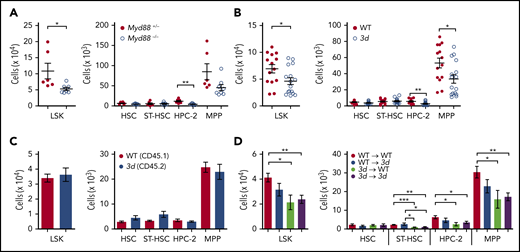 Microbiota indirectly regulate hematopoietic progenitors through TLR pathways in hematopoietic cells. Numbers of LSK cells and HSPC subsets in Myd88−/− mice (n = 6 or 7 mice per group) (A) and 3d mice (n = 14-16 mice per group) (B). (C) HSPC analysis from mixed BM chimeras generated with WT and 3d BM cells. Numbers of HSPCs in the BM from chimeric mice (n = 4-7). (D) HSPC analysis from single BM chimeras. Four groups of chimeric mice were generated: WT→WT, WT→3d, 3d→WT, and 3d→3d. Numbers of HSPCs in the BM chimeric mice (n = 5-7). Data are pooled from 2 (C-D) or >2 (A-B) independent experiments with similar results. Data are mean ± standard error of the mean, and each circle represents an individual mouse. *P < .05, **P < .01, ***P < .001, unpaired 2-tailed Student t test (A-C) or 1-way ANOVA with Bonferroni multiple comparison (D).
