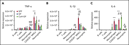 CX3CR1+ MNCs are primary producers for inflammatory cytokines. Reverse-transcription quantitative polymerase chain reaction analysis of mRNA levels of TNF-α (A), IL-1β (B), and IL-6 (C) in the BM cells of SPF, GF, and CoH-GF mice (n = 5-7). Data are representative of 2 independent experiments with similar results (mean ± standard error of the mean). *Versus CX3CR1+ MNCs with other cell types within SPF mice. #Compares the values among SPF, GF, and CoH-GF mice within each cell subtype. */#P < .05, **/##P < .01, ***/###P < .001, 1-way ANOVA with Bonferroni multiple comparison.