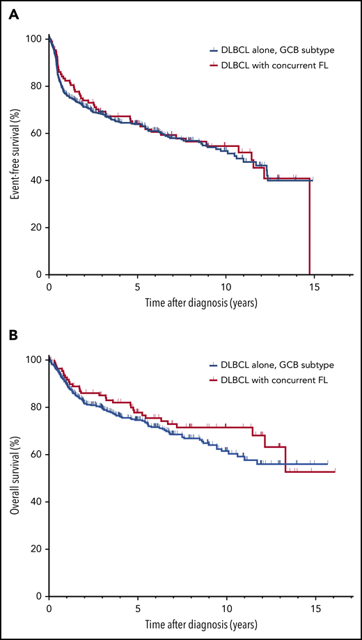 Survival in patients with GCB DLBCL or with concurrent DLBCL and FL. EFS (A) and OS (B) in patients with the GCB subtype of DLBCL and in patients with concurrent DLBCL and FL.