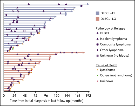 Swimmer plot showing relapse patterns in patients with concurrent DLBCL and an indolent lymphoma. For pathology at relapse, indolent lymphoma indicates consistent pathology as initial diagnosis, that is, FL in DLBCL + FL cases or other indolent lymphoma in DLBCL + LG cases. Composite lymphoma also indicates same histology as initial diagnosis. Other lymphoma included a mantle cell lymphoma in a DLBCL + FL case, and a classical Hodgkin lymphoma in a DLBCL + LG case. DLBCL + FL, DLBCL with concurrent FL; DLBCL + LG, DLBCL with concurrent other NHL.