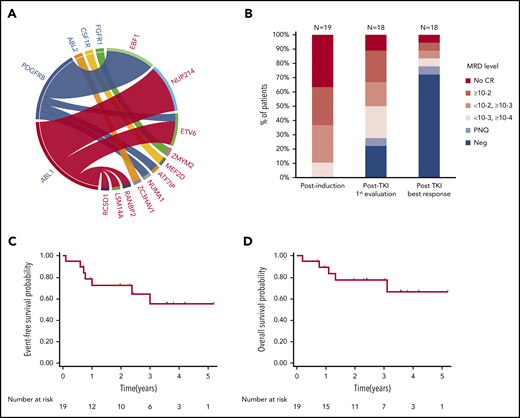 Patient characteristics and outcome. (A) ABL-class fusion gene in the whole cohort (N = 24). On the circos plot, the names of ABL-class genes are in blue; partner genes are in red. (B) MRD response in patients treated frontline at different time points (N = 19, 1 patient not evaluated after TKI exposure). EFS (C) and OS (D) from diagnosis in patients exposed frontline to TKI (N = 19).