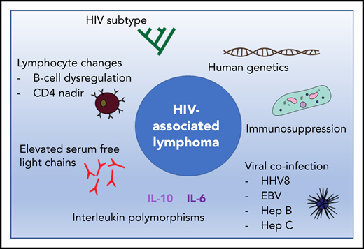 The pathogenesis of HIV-associated lymphoma is complex and influenced by host-mediated and viral factors. EBV, Epstein-Barr virus; Hep B, hepatitis B; Hep C, hepatitis C; HHV8, human herpes virus 8; IL-6, interleukin 6; IL-10, interleukin 10.