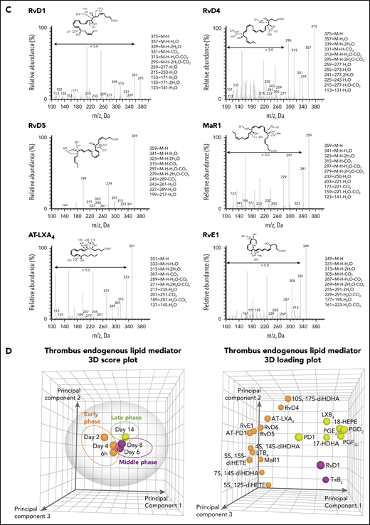 Temporal distribution of LM-SPM in the thrombus during DVT in mice. (A) Naturally occurring VT progression in C57BL/6J WT mice. Hematoxylin and eosin stains of longitudinal mouse venous thrombus sections at days 2, 4, 8, 12, 16, and 21 postinduction. The stenosis site (head of the thrombus) is to the left and the distal end of the thrombus (tail) is to the right on all images. Scale bars, 1 mm. (B) Representative liquid chromatography-tandem mass spectrometry chromatograms of the LMs derived from DHA (blue), from EPA (dark blue), and from AA (red) identified in the thrombus. (C) Tandem mass spectrometry spectra from SPMs identified in the thrombus by characteristic diagnostic ions. (D) Representative principal component analysis score plot (left) and loading plot (right) showing temporal distribution of LMs in the thrombus during DVT. Orange, early (acute) phase (6 hours, day 2, and day 4); purple, middle (subacute) phase (day 6 and day 8); green, late (chronic) phase (day 14) after induction of DVT in WT mice. Data in panels B, C, and D are representative of a pool of 3 thrombi.