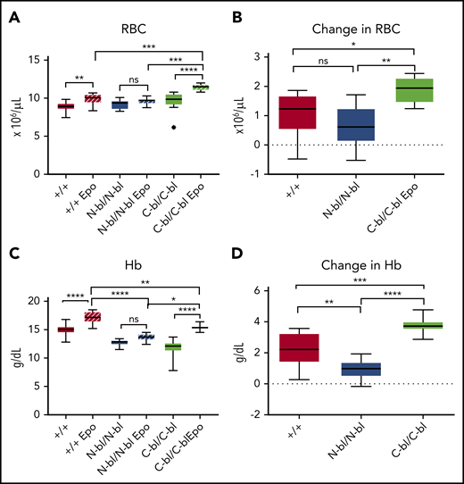 N lobe–bound iron enhances erythropoietin responsiveness. (A) Complete blood cell parameters from mice treated with 3000 IU/kg per day of recombinant human Epo demonstrated increased RBC counts in WT and TfC-bl/C-bl mice but not in TfN-bl/N-bl mice treated with Epo relative to controls (for saline-treated mice, n = 8-12 mice per sex for WT and n = 3-6 mice per sex for mutant mice; for Epo-treated mice, n = 6-9 mice per sex for WT and n = 4-5 mice per sex for mutant mice). (B) In response to Epo treatment, the change in RBCs, as measured by subtracting the average RBC count of respective saline-treated controls, was increased in TfC-bl/C-bl mice compared with WT and TfN-bl/N-bl mice (n = 4-6 mice per sex for each strain). (C) Hb concentrations in mice treated with Epo relative to controls showed significant increases in Hb concentration in WT and TfC-bl/C-bl mice (for saline-treated mice, n = 8 mice per sex for WT and n = 3-6 mice per sex for mutant mice; for Epo-treated mice, n = 6-7 mice per sex for WT and n = 4-7 mice per sex for mutant mice). (D) In response to Epo treatment, the change in Hb, as measured by subtracting the average Hb of respective saline-treated controls, was greater in WT and TfC-bl/C-bl mice than in TfN-bl/N-bl mice, with a more substantial increase in the TfC-bl/C-bl mice (n = 6-10 mice per sex for WT and n = 3-5 mice per sex for mutant mice). Data are presented as Tukey box and whisker plots. Statistical significance was analyzed by 1-way ANOVA. *P ≤ .05, **P ≤ .01, ***P ≤ .001, ****P ≤ .0001.
