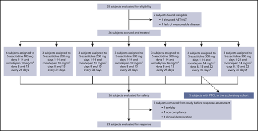 Diagram of study patient disposition. *Identified as the maximum tolerated dose, used in the dose expansion cohort. †Identified as the maximum administered dose.