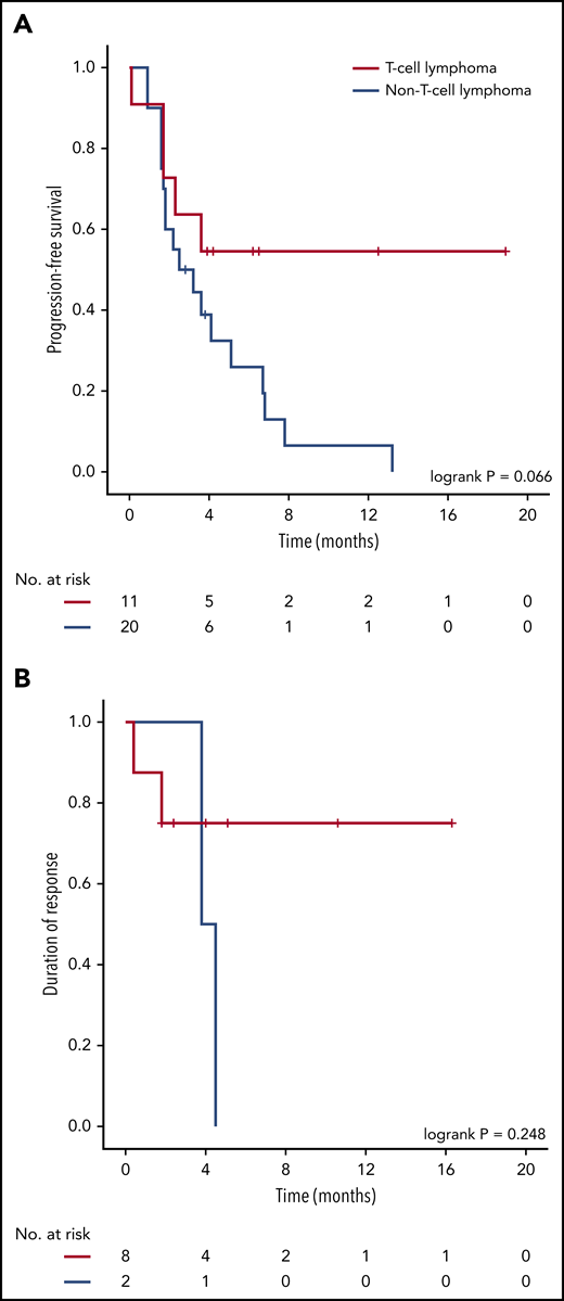 Progression free and overall survival. PFS (A) and DOR (B) in patients with T-cell lymphoma and those with non–T-cell-lymphoma.
