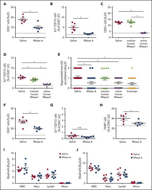 RNase treatment reduces leukocyte infiltration and mast cell degranulation. (A-D,F-H) Quantitative analyses, using flow cytometry, of infiltrated leukocytes in adductor muscles isolated at day 1 or 3 after induction of arteriogenesis via FAL. Scatter plots show the percentages of CD45+ cells (A,C,F), CD45+/Gr1+/CD115− cells (B,D,G), and CD45+/F4/80+ cells (H) in adductor muscles from mice treated with saline or RNase A (A-B,F-H) or from mice treated with saline, recombinant inactive human RNase1, or recombinant active human RNase1 (C-D). Analyses were performed at day 1 (A-D) and day 3 (F-H) after FAL. (E) The scatter plot shows the number of degranulated mast cells in the perivascular space of growing collaterals at day 3 after induction of arteriogenesis in mice treated with saline, RNase A, recombinant active or inactive human RNase1, or the mast cell stabilizer cromolyn, as evaluated on Giemsa-stained tissue sections. Counts of white blood cell (WBC) populations in blood samples drawn from mice at day 1 (I) or day 3 (J) after induction of arteriogenesis by FAL and saline or RNase A treatment. Data are mean ± SEM. n = 6 mice per group (A-D,F-J), n > 10 mice per group (E). The dashed horizontal line in the scatter plots indicates the mean sham value. *P < .05, unpaired Student t test (A-B,F-J), 1-way ANOVA with the Bonferroni multiple-comparison test (C-E). Lymph, lymphocytes; Mono, monocytes; Neut, neutrophils.