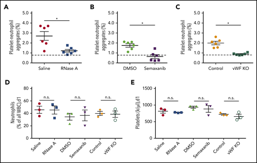 VWF is essential for PNA formation in the process of arteriogenesis. Following induction of arteriogenesis at day 1, whole blood was drawn from wild-type mice treated with saline or RNase A (A) or with DMSO or semaxanib (B) or from VWF-deficient (VWF KO) mice and their respective controls (C) and analyzed using flow cytometry. The scatter plots show the percentage of PNAs relative to the total number of neutrophils. Platelets were detected by a CD41 antibody, and neutrophils were identified by CD11b and Gr-1 antibodies. The dashed horizontal line indicates the mean sham value. For comparison, blood neutrophils (D) and platelets (E) were quantified in wild-type mice treated with saline, RNase A, DMSO, or semaxanib, as well as in VWF-deficient (VWF KO) mice and untreated wild-type mice (Control). Data are mean ± SEM. n = 6 per group (A-C), n = 3 per group (D-E). *P < .05, unpaired Student t test.
