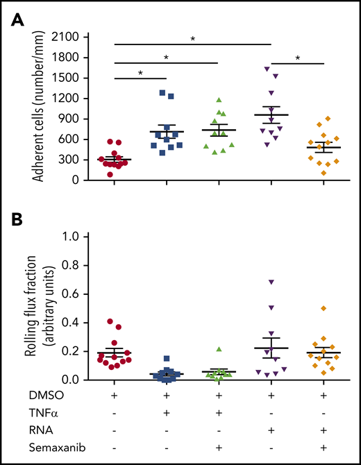 eRNA activates VEGFR2 in a murine cremaster model of inflammation activation. In a cremaster model of inflammation, adherent leukocytes (A) and the rolling flux fraction (B) were investigated using intravital microscopy in venules of mice pretreated with semaxanib blocking VEGFR2 or solvent (DMSO) and stimulated with TNF-α or RNA. Data are mean ± SEM. n > 10 per group. *P < .05, 1-way ANOVA with the Bonferroni multiple-comparison test.