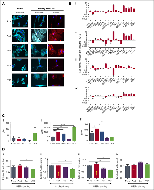 AraC and DNR activate MSCs, de novo which abrogates B-ALL target cell responses to chemotherapy agents in coculture. (A) Phalloidin, DAPI, or αSMA staining (original magnification ×40) of HS27a cells or healthy donor MSCs: at baseline or after exposure to the chemotherapy agents indicated. (B) Gene expression panel showing fold upregulation (compared with untreated) in HS27a cells after exposure to the chemotherapy agents AraC (i), DNR (ii), DEX (iii), and VCR (iv). (C) Cytokine bead assays for IL6 (i), IL8 (ii), and CCL2 (iii) (picograms per milliliter, y-axis) following exposure of HS27a cells to the chemotherapy agents indicated on the x-axis. All statistically significant comparisons (by unpaired Student t test) are as depicted: IL8, none vs AraC, P < .0001; IL8, none vs DNR, P = .002; IL8, none vs DEX, P = .001; and IL8, none vs VCR, P < .0001. CCL2, none vs AraC, P = .0169; CCL2, none vs DEX, P = .0166; and CCL2, none vs VCR, P = .0065. (D) MTS assays showing relative viability of SEM cells (y-axis) after treatment with AraC (i), DEX (ii), and VCR (iii) for 48 hours, after coculture with HS27a cells previously primed by chemotherapy before the treatment denoted on the x-axis. Data are shown relative to unprimed HS27a cells, set at 1. AraC-primed HS27a cells are highlighted throughout with a yellow arrow. All statistically significant comparisons (by unpaired Student t test) are as depicted: no pretreatment vs VCR, P = .041, and AraC vs VCR, P = .022 (i). No pretreatment vs VCR, P = .0087, and AraC vs VCR, P = .0087 (ii). No pretreatment vs VCR, P = .0006, AraC vs VCR, P = .0017 (iii). (iv) MTS assay showing relative viability of SEM cells (y-axis) after Transwell culture with primed HS27a cells as denoted on the x-axis. Data are relative to unprimed HS27a, set at 1. There are no statistically significant differences. All data are the mean ± SE of 3 independent experiments. *.01 < P ≤ .05; **.001 < P ≤ .01; ***.0001 < P ≤ .001; ****P ≤ .0001.