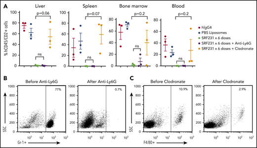 Anti-CD47 antibody efficacy is macrophage-mediated in TCL PDX. (A) Burden at involved sites for each mouse. P values by 2-sided Welch t test. (B) Flow plots of Gr-1+ neutrophils in the peripheral blood of mice before and after treatment with anti-Ly6G Ab. (C) Flow plots of F4/80+ macrophages in the peripheral blood of mice before and after treatment with clodronate. PBS, phosphate-buffered saline.