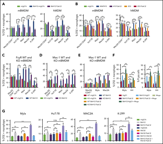 Anti-CD47 antibody increases phagocytosis through FcγR-independent and FcγR-dependent mechanisms and is not Mac-1 dependent. (A) CFSE+ TCL cells were incubated in vitro with B6H12 and F(ab′)2 fragment of B6H12 or isotype control in the presence of mBMDMs and hMDMs. (B) Same as panel A, using full-length and F(ab′)2 fragments of 2D3 and MIAP410. (C) CFSE+ TCL cells were incubated with WT or Fcer1g−/− (KO) mBMDMs in the presence of the indicated antibodies. Shown are mean values of technical triplicates with error bars representing SEM. *P < .05, **P < .01, ***P < .001, ****P < .0001 by 2-sided Welch t test. (D-E) CFSE+ TCL cells were incubated with WT or Mac1−/− (KO) mBMDMs in the presence of the indicated antibodies or F(ab′)2 fragment of B6H12. A representative experiment performed in triplicate with error bars representing SEM is shown. (F) On the left, phagocytosis of CFSE-labeled CTCL cells, Myla and HH by hMDMs in the presence of various antibodies including Moga at concentrations of 5 µg/mL is plotted. On the right, percent PI positive of the CFSE-labeled Myla and HH cells is plotted after culture with human NK cells in the presence of various antibodies at concentrations of 10 µg/mL. Shown are mean values of technical triplicates with error bars representing SEM. *P < .05, **P < .01, ***P < .001, ****P < .0001 by 2-sided Welch t test. (G) Phagocytosis of Myla, HuT-78, MAC2A, and K-299 cells mediated by full-length B6H12-mIgG1κ, anti-HLA A,B,C mAb, W6/32 and their F(ab′)2 portions alone and in combination relative to isotype controls at 10 µg/mL (mIgG1κ for B6H12-mIgG1κ and mIgG2aκ for W6/32). Percentage of CFSE+ macrophages (of CD14+ hMDMs) is plotted. Shown are mean values of technical triplicates ± SEM. *P < .05; **P < .01; ***P < .001, ****P < .0001 by 2-sided Welch t test. KO, knockout; ns, not significant.