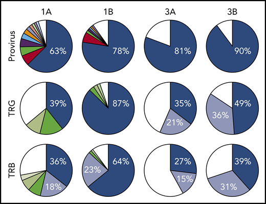 Nivolumab treatment resulted in rapid expansion of predominant ATLL clones. Clonal analysis of the peripheral blood of patients 1 and 3 before (A) and after (B) nivolumab therapy comparing probe-capture sequencing for HTLV-1 proviral integration sites with TCR gene rearrangement of β locus (TRB; supplemental Table 2) and γ locus (TRG; supplemental Table 1). Clones < 1% of total reads are shown in white.