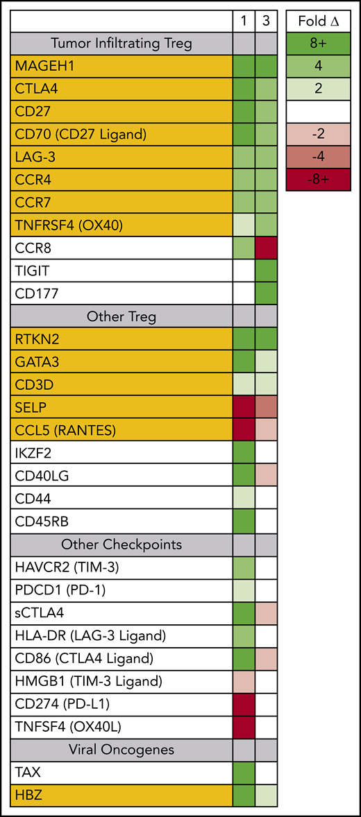 Circulating ATLL cells posttreatment resemble tumor-infiltrating Tregs. RNAseq was used to profile gene-expression changes caused by nivolumab treatment. The color bar indicates the fold change (after/before) for each gene. Selected genes represent genes associated with Tregs and lymphocyte checkpoint pathways that increase or decrease more than twofold after treatment with nivolumab.