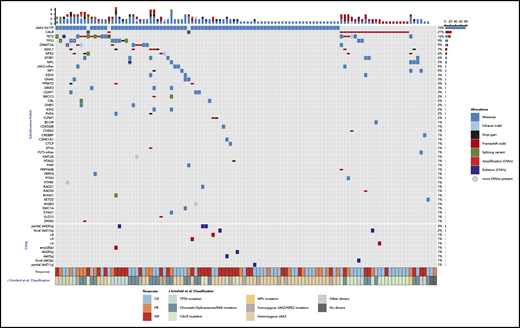 Genomic profile of somatic mutations and copy number variants (CNVs) in baseline samples, as detected by NGS data. Each column represents a patient (n = 110) and each row represents a gene that is mutated in at least 2 patients (n = 22). In the bottom of the figure, each row represents a CNV event (n = 10). The bar plot (top) indicates the number of somatic mutation(s) per patient, colored according to the type of the alteration. The bar plot on the right shows the number of somatic mutations per gene (top) or CNV event (bottom). The frequency of mutations in the cohort is listed on the left border of the figure. The clinical response to treatment is displayed in the annotation bar at the lower axis of the figure according to the legend. The second annotation bar at the bottom panel denotes the classification of each patient according to the molecular classification criteria.34
