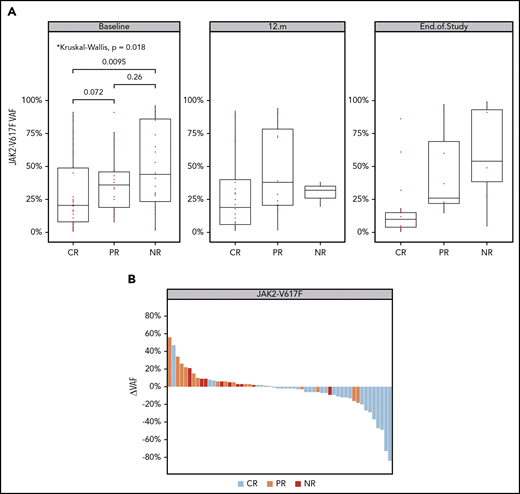 Changes in mutant JAK2 (p.V617F) VAF over time. (A) VAF in evaluable samples at baseline, month 12, and end of study. The added P-values highlight a significant difference in median JAK2V617F VAF between CR and NR groups in baseline samples (Wilcoxon test; P = 9.51e-03). (B) JAK2V617F VAF waterfall plot. The y-axis indicates the absolute change of JAK2V617F VAF from baseline to last sample. Each bar represents a patient, highlighted by the best clinical response (as described in the color key). Analysis of the number of patients with increased and decreased VAF between groups indicates that the chance of achieving CR is 15 times higher for patients with a reduced JAK2V617F allele burden (Fisher’s exact test; P = 9.071e-06; OR, 15).
