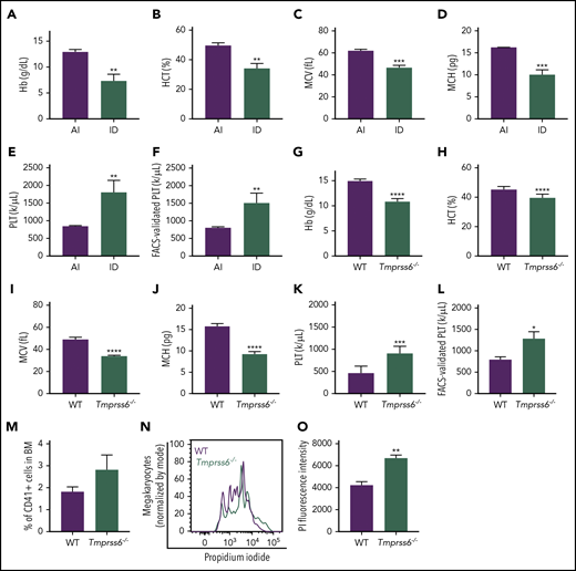 Iron deficiency anemia is accompanied by thrombocytosis in mice. (A-E) Blood cell counts were performed in females fed with an AI or ID diet for 9 weeks followed by 2 weeks of pregnancy (n = 3 for each condition). (F) Platelet (PLT) count by flow cytometry normalized to the total combined platelet and RBC count by automated cell counter in the same females fed with an AI or ID diet (n = 3/condition). (G-K) Blood cell counts were performed in 8- to 10-week-old male and female Tmprss6−/− and WT littermate controls (n = 7/genotype). (L) Platelet count by flow cytometry normalized to the total combined platelet and RBC count in the same 8- to 10-week-old male and female Tmprss6−/− and WT littermate controls (n = 7/genotype). (M) Flow cytometric analysis of the frequency of megakaryocytes (CD41+ cells) in the BM of Tmprss6−/− and WT littermate controls (n = 3 WT, n = 6 Tmprss6−/−). (N) Representative histograms of flow cytometric analysis of megakaryocyte ploidy in the BM of Tmprss6−/− and WT littermate controls. (O) MFI of propidium iodide (PI) in CD41+ cells (n = 3 WT, n = 6 Tmprss6−/−). Data are presented as mean + SD. *P < .05, **P < .01, ***P < .001, and ****P = .0001 calculated by 2-tailed unpaired Student t test. Hb, hemoglobin; HCT, hematocrit; MCH, mean corpuscular hemoglobin; MCV, mean corpuscular volume.