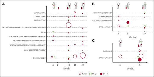 Dynamics of neoplastic clonotypes in the skin and blood. Three patients were followed longitudinally with multiple skin biopsies and/or blood sampling. All shared neoplastic clonotypes are plotted on the time axis for individual patients: MF4 (A), MF11 (B), and MF34 (C). The location and type of lesion are indicated for each patient on a silhouette (green circle, plaque; red square, tumor). Each dotted line corresponds to a single, shared clonotype of the indicated amino acid sequence of CDR3β. Circles above the line are skin clonotypes (open red, tumor; open green, plaque), whereas the solid red circles below the line are the clonotypes detected in the blood. The size of the dot is proportional to the frequency of the shared clonotype in the sample.