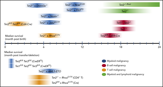 Median survival times reported for mouse models of Tet deficiency. Median survival reported for models with germ line– or cell type–specific transgenes or gene deletions (top); median survival reported for inducible gene disruption or adoptive cell transfer models (bottom). For references, please refer to Table 1. For each Tet-deficient mouse model, the darkest color at the midpoint of each ribbon represents the approximate median survival. Note that the width and gradation of color do not necessarily reflect any statistical property.