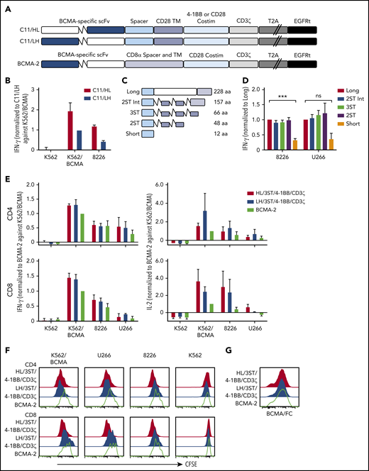 BCMA CAR design and optimization. (A) Schematic of CAR constructs containing the C11 scFv in VH/VL or VL/VH configuration (HL or LH), 4-1BB, or CD28 costimulatory domain (costim), CD3ζ signaling domain, T2A ribosomal skip sequence, and EGFRt. The previously described BCMA-2 CAR40 is also depicted, and contains a CD8α hinge and transmembrane (TM) domain, and a CD28 costimulatory domain. (B) CD8+ T cells were transduced with C11/HL and C11/LH 4-1BB/CD3ζ CARs containing a long spacer sequence (IgG4 hinge-CH2-CH3NQ) and selected for EGFRt expression. IFN-γ production in supernatants of CAR T cells after stimulation with K562, K562/BCMA, and 8226 cells for 24 hours was measured by ELISA. T cells were prepared from 2 different donors and values were normalized to production of C11/LH/4-1BB/CD3ζ against K562/BCMA. (C) Schematic of various spacers used in the C11/HL/4-1BB/CD3ζ BCMA-CARs. (D) IFN-γ production in supernatants of CD8+ BCMA CAR T cells with the indicated spacers after stimulation with 8226 and U266 myeloma cell lines for 24 hours as measured by ELISA. IFN-γ was normalized to production of long spacer CAR against 8226 or U266, respectively. (E) IFN-γ (left) and IL-2 (right) in supernatants of CD4+ and CD8+ T cells expressing C11/HL/3ST/4-1BB/CD3ζ, C11/HL/3ST/CD28/CD3ζ, or BCMA-2 CARs after 24 hours coculture with the indicated BCMA− and BCMA+ target cells. Values were normalized to BCMA-2 against K562/BCMA. (F) Proliferation of CD4+ and CD8+ BCMA CAR T cells after stimulation with target cells for 72 hours analyzed by CFSE dilution assay. (G) Representative CAR expression on CD8+ BCMA CAR T cells after isolation and expansion as measured by BCMA/Fc conjugated to APC. The E:T ratio was 2:1 in all assays. Data in panels D through G are summarized (D-E) or representative (F-G) of 2 or more individual experiments with T cells prepared from different donors. Data depicted in bar graphs represent mean plus standard error of the mean (SEM). ***P < .001; as determined by 1-way ANOVA with the Dunnett posttest. ns, not significant.