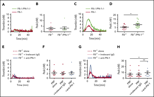 PN-1 deficiency enhances thrombin generation in PRP from mice with an F8 deficiency after collagen-induced platelet activation. Representative thrombin generation profiles and thrombin peaks obtained after TF activation (A-B,E-F), or after TF and collagen activation (C-D,G-H) in PRP from F8−/−, F8−/−/PN-1−/− and F8−/− mice in the presence of 100 µg/mL irrelevant IgG antibody or 100 µg/mL anti-PN-1 antibody. Each dot represents 1 mouse. Values are means ± SEM. A Mann-Whitney test was used for B and D; *P < .05. A non-parametric 1-way ANOVA test followed by a multiple comparison test was used for F and H; *P < .05, **P < .01.