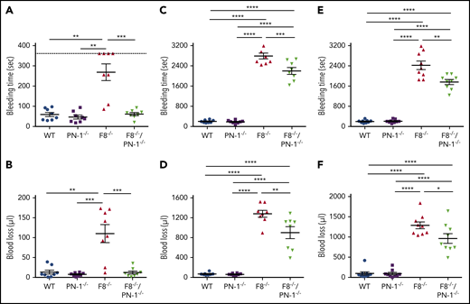 PN-1 deficiency limits tail bleeding in mice with an F8 deficiency. Tail bleeding times and volumes in WT, PN-1−/−, F8−/− and F8−/−/PN-1−/− mice in a classical tail clip model (A-B), in a tail vein transection model (C-D), and in a tail artery transection model (E-F). Each dot represents 1 mouse. A nonparametric 1-way ANOVA test followed by a multiple comparison test was used. *P < .05; **P < .01; ***P < .001.