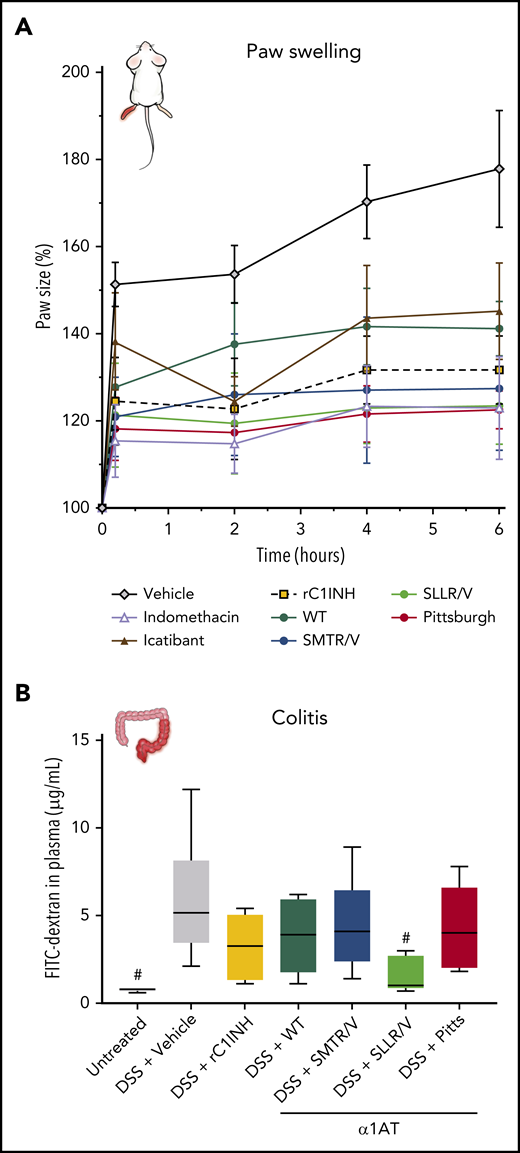 Modified SERPINs protect against inflammation in acute and chronic in vivo models of bradykinin-mediated pathology. (A) Carrageenan-induced paw swelling. Mice (n = 12 per group) were pretreated by IV injection (8 mg/kg α1AT variant, 16 mg/kg rC1INH, 1 mg/kg icatibant (HOE140) or 5 mg/kg Indomethacin). Hereafter (T = 0), mice were challenged by carrageenan injection into the dorsal side of the left hind paw. Changes in paw size were measured in triplicate before and during the carrageenan challenge. Data represent the mean ± SD. (B) DSS-induced colitis. On day 0 and 3, mice (n = 6 per group) received an IV injection with inhibitor (8 mg/kg α1AT variant, 16 mg/kg rC1INH). Hereafter (T = 0), mice were challenged with DSS (3% wt/vol) via their drinking water. The control group (baseline) received no DSS. After 6 days, mice underwent a gavage with FITC-dextran to determine epithelial leakage of the gut. Four hours after the gavage, mice were euthanized and FITC-DXS plasma levels were determined. Data are represented as box and whiskers plot (5% to 95% percentile). #P < .005, compared with vehicle by 1-way ANOVA with post-hoc Dunnett’s multiple comparison test.