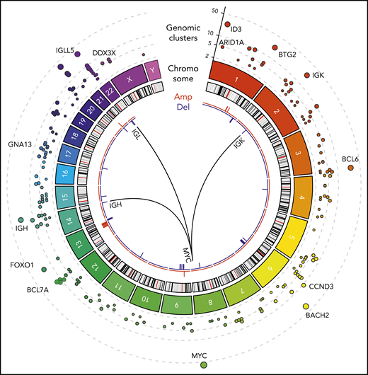 WGS of BL (N = 101). Tracks, from outside to inside, on the Circos plot: genomic clusters containing at least 4 somatic variants in at least 3 samples (y-axis shows the unique samples count) scaled by the mutated sample counts and CNVs represented as amplifications (red) and deletions (blue). The internal arches represent the 3 translocations involved in the disease between MYC gene (chr8) and immunoglobulin genes IGH (chr14), IGK (chr2), and IGL (chr22).