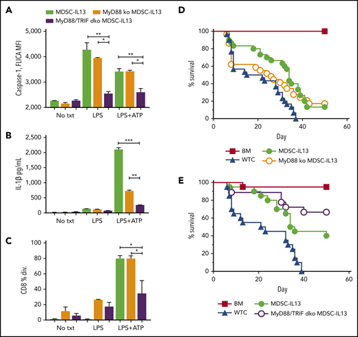 TLR4 signaling in MDSCs. (A) MDSC-IL13s treated as indicated for inflammasome induction with LPS (0.2 μg/mL) for 3 hours followed by ATP (2 mM) for 1 hour were harvested and aliquoted for FLICA analysis, shown as mean fluorescence intensity (MFI), gated on CD11b+Ly6C+ fraction; 2 replicates per condition. (B) Supernatants from cultures were assayed for IL-1β production by ELISA; 2 replicates per condition. (C) Harvested MDSC-IL13s were washed, counted, and plated in a CFSE suppression assay at a 1:1 ratio with naïve B6-purified CD25-depleted whole T cells stimulated with anti-CD3ε. Data represent fraction of CD8+ T cells having undergone ≥1 division; 3 replicates per condition. (D) Kaplan-Meier survival curve for lethally irradiated Balb/c recipients given 1e7 B6 BM cells plus 2e6 purified CD25-depleted whole T cells (WTCs) and 6e6 MDSC-IL13s (M13) or MyD88 KO MDSC-IL13s, as indicated. WTCs vs M13, P = .0001; WTCs vs MyD88 KO, P = .0460; M13 vs MyD88 KO, P = .5988. Data represent 3 independent pooled experiments with n = 30 animals per group. (E) Kaplan-Meier survival curve, as in panel D, giving 6e6 WT MDSC-IL13s (M13) or 6e6 MyD88/TRIF dKO MDSC-IL13s. WTCs vs M13, P = .0012; WTCs vs MyD/TRIF dKO, P < .0001; M13 vs MyD88/TRIF dKO, P = .0561. Data represent 2 independent pooled experiments with n = 20 per group. *P < .05, **P < .01, ***P < .001. txt, treatment.