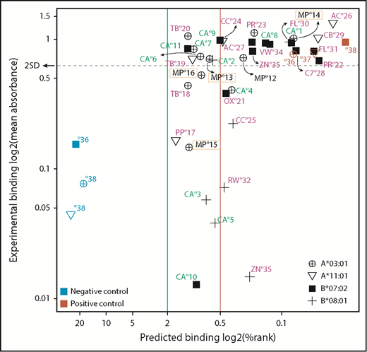 Figure 6. In vitro validation of NetMHCpan predictions. Selected peptides (supplemental Table 24) were synthesized and tested for binding to 4 MHCI molecules using an ELISA-based peptide-exchange assay. The threshold for predicted binding was set as described for Figure 5A. For experimental binding validation, the threshold was set at 2 standard deviations (2SD) from the mean absorbance value for 3 positive-control peptides (colored in red). Peptides above this threshold were considered strong binders. Of the 20 predicted strong binders, 15 exhibited binding values above the threshold (75.0%). Of the 15 predicted weak binders, 8 were above the threshold (53.3%). Color coding: green, CALR-derived peptides; yellow rectangle, MPL-derived peptides; magenta, SF3B1-derived peptides. Abbreviations are listed in supplemental Table 24.