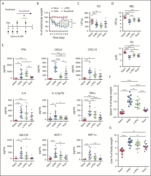 Figure 1. Ruxolitinib (Ruxo) targets inflammation in a murine model of secondary HLH via IFN-γ–dependent and -independent mechanisms. (A) WT C57BL/6 mice were injected with PBS (Naive) or with CpG and αIL-10R, as shown. Injected mice were left untreated (UnRx) or were treated with αIFN-γ or Ruxo on days 4 to 8 after the first CpG and αIL-10R injection. On day 9, mice were euthanized and analyzed. (B) Change in body weight (as a percentage of the initial body weight) during the course of the experiment. Body weight percentage was calculated as (actual body weight/initial body weight) × 100. Peripheral blood samples were analyzed for the number of platelets (PLT) (C) and the numbers red blood cells and for the levels of hemoglobin (Hb) (D). (E) Levels of serum cytokines were determined using Luminex. (F) Splenomegaly was assessed as a percentage of body weight and calculated as (spleen weight/actual body weight) × 100. (G) Hepatomegaly was assessed as a percentage of body weight and was calculated as: (liver weight/actual body weight) × 100. Each data point represents 1 mouse, and data were collected from 3 independent experiments. Outliers were excluded using Grubb’s test. Data shown are the mean values ± standard deviation. The total number of mice per group was n = 12 each (Naive and UnRx), n = 14 (αIFN-γ), and n = 13 (Ruxo). *P < .05, **P < .01, ***P < .001, ****P < .0001.